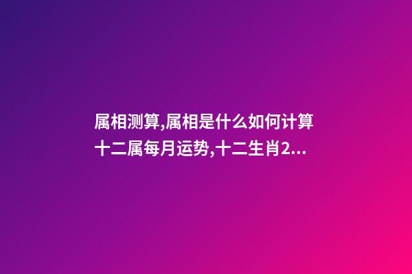 属相测算,属相是什么如何计算 十二属每月运势,十二生肖2021年运势及运程每月运程-第1张-观点-玄机派